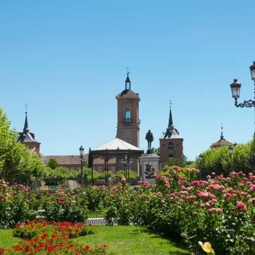 Tu seguro de coche en Alcalá de Henares
